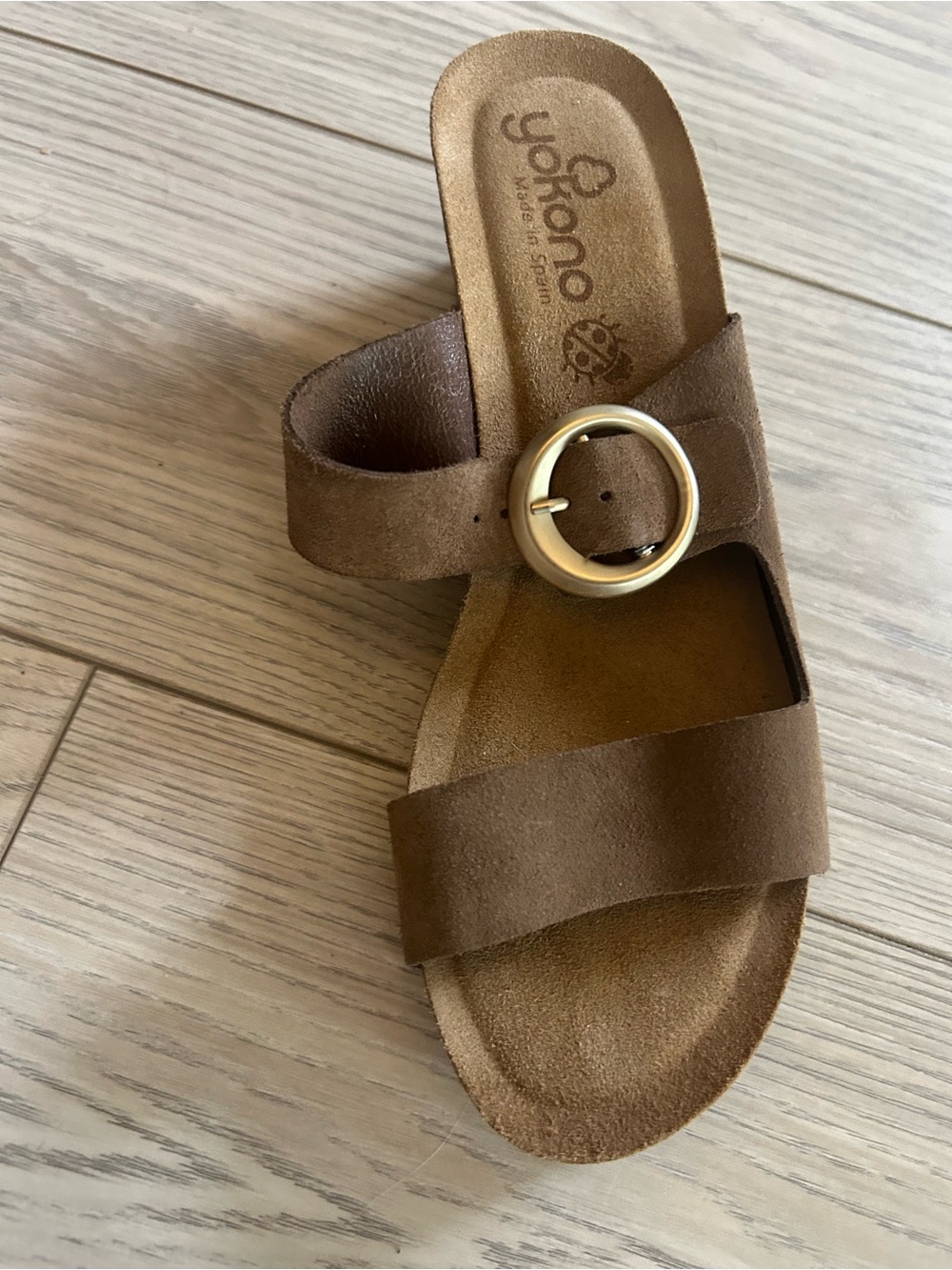 Brown Suede Slide with Gold Buckle